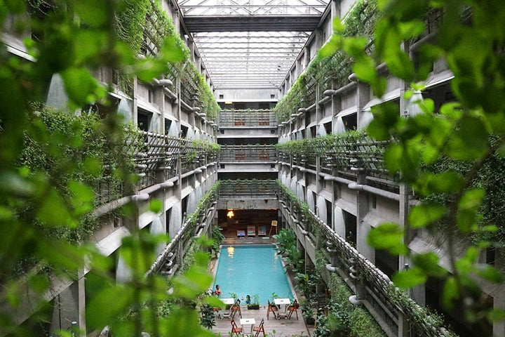 Green Cities: Eco-Friendly Trend Report #4