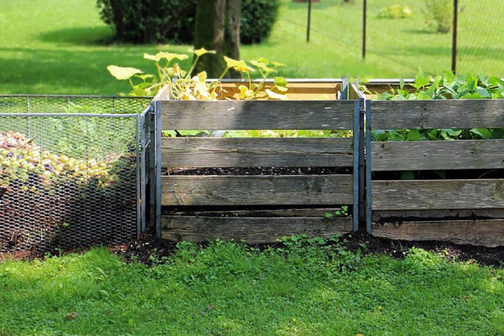 Infographic: Month-by-Month Green Living Guide