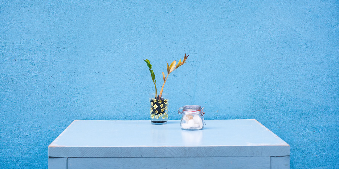 Top Décor Trends of 2019