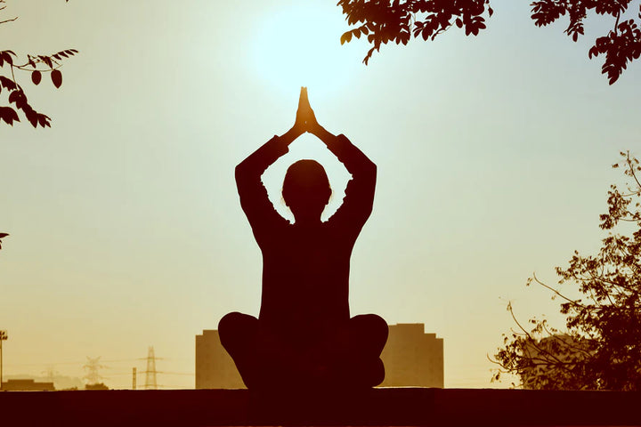 Workplace Meditation: Mindfulness for the Workhorse