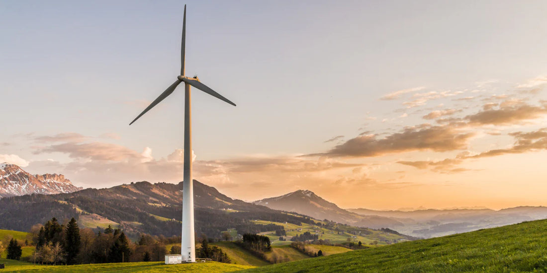 The 4 Biggest Eco-Trends of 2019