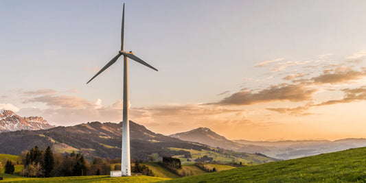 The 4 Biggest Eco-Trends of 2019