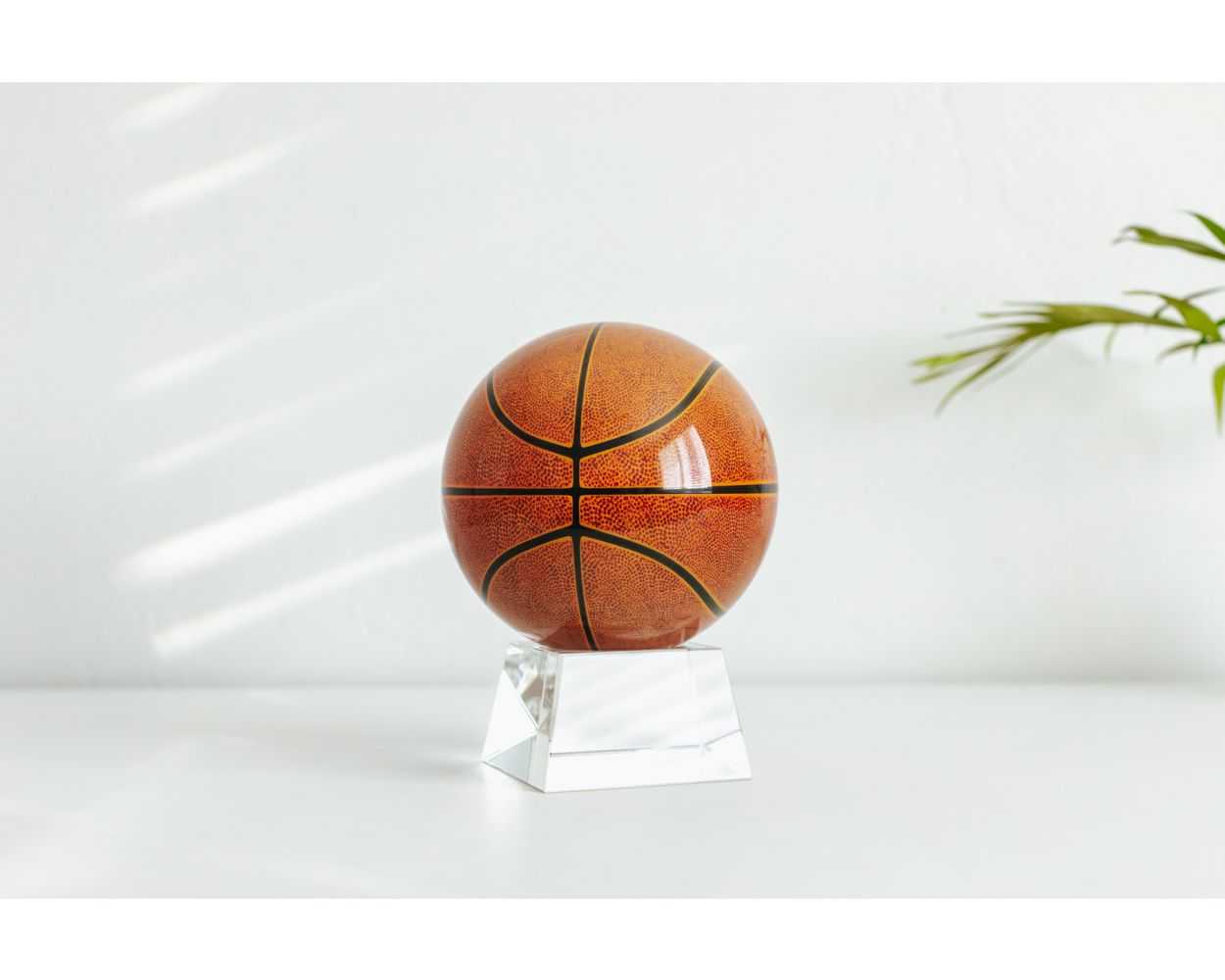 Basketball MOVA Globe