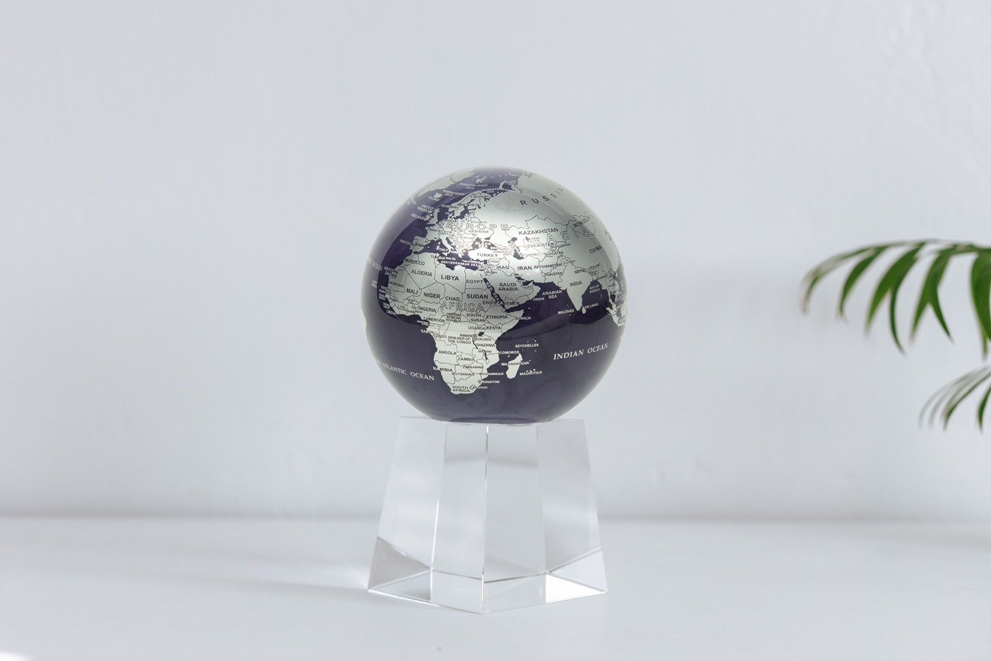 Purple and Silver Globe