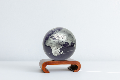 Purple and Silver Globe