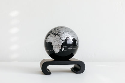 Black and Silver Globe