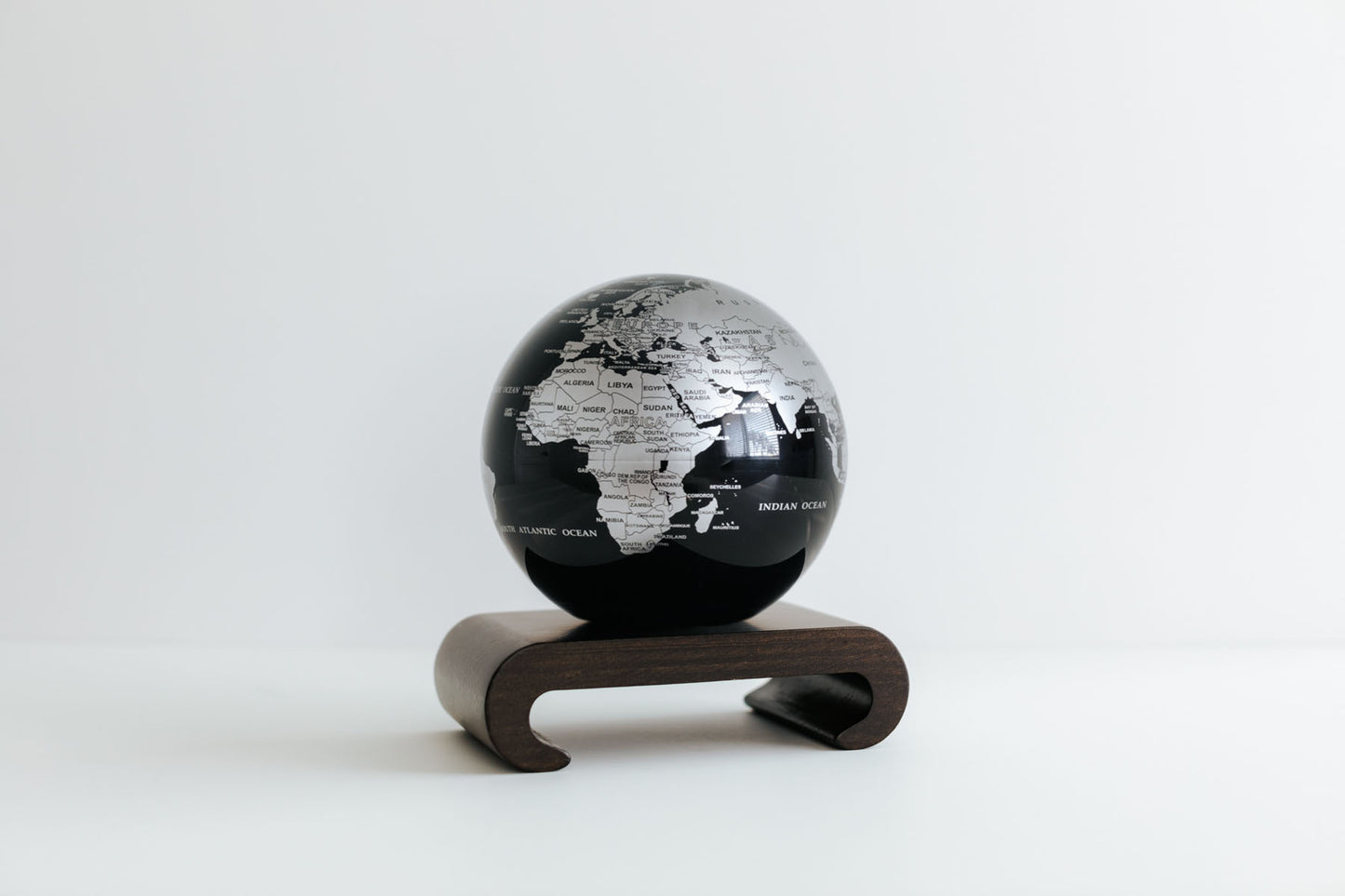 Black and Silver Globe