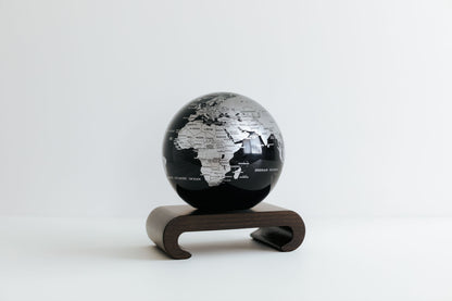 Black and Silver Globe