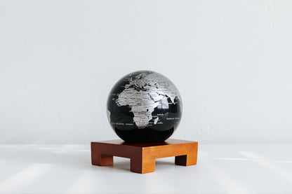 Black and Silver Globe