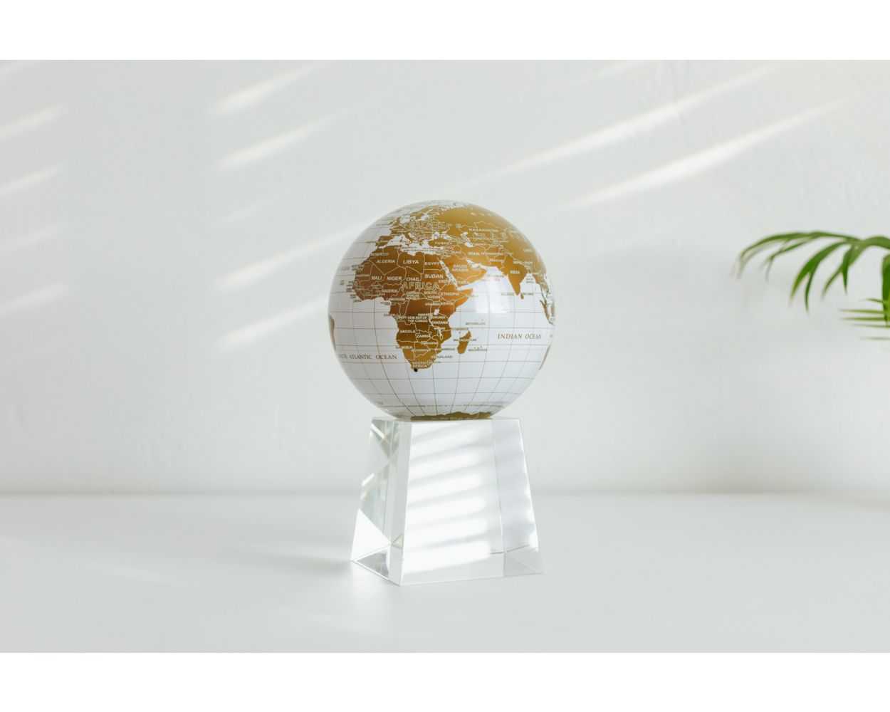White and Gold Globe