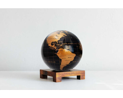 Black and Gold Globe