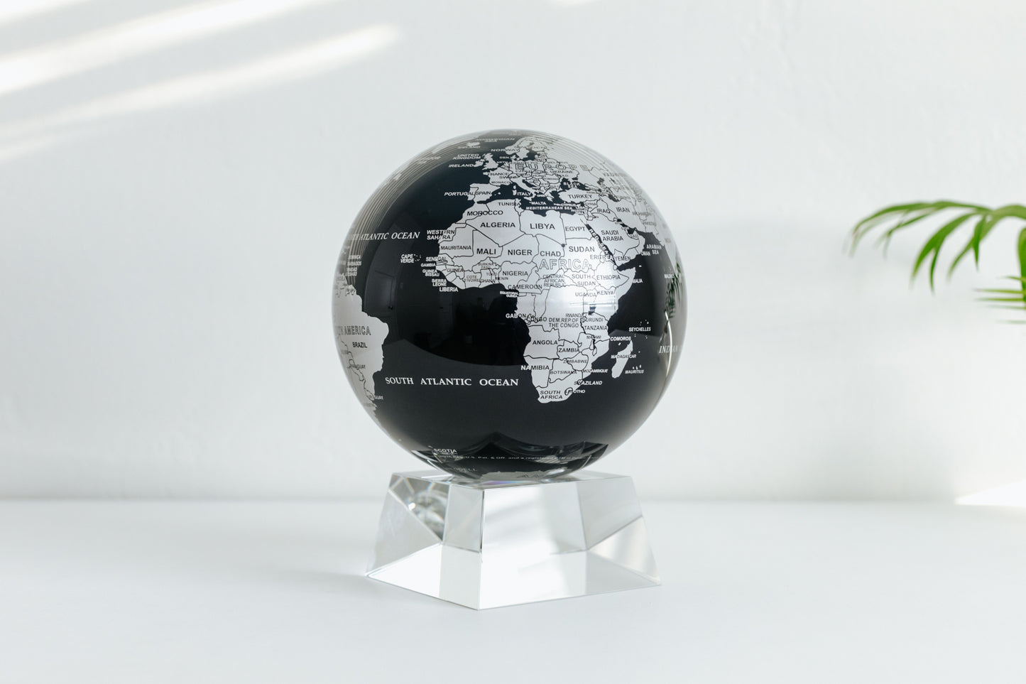 Black and Silver Globe
