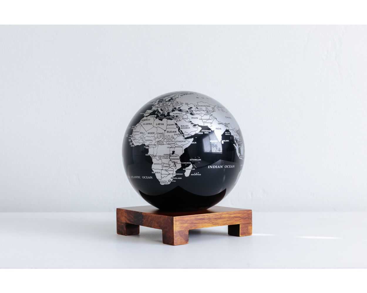 Black and Silver Globe